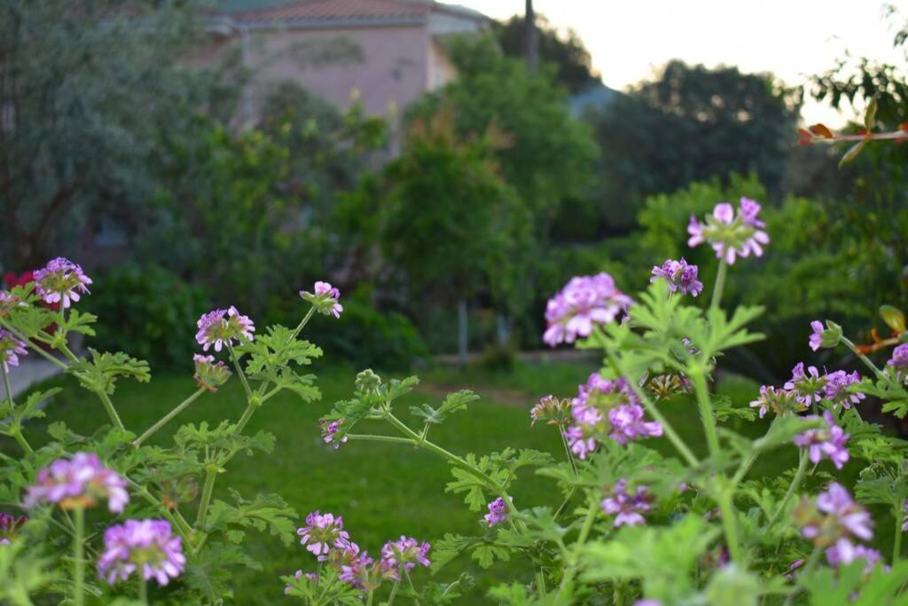 Villa Sunset Lefkas Agios Ioannis  Exterior photo
